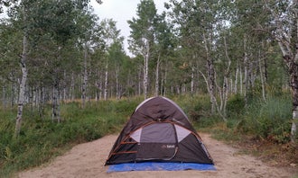 Camping near Hailstone - Upper Fisher Campground — Jordanelle State Park: Pine Creek - Cottonwood Campground — Wasatch Mountain State Park, Midway, Utah