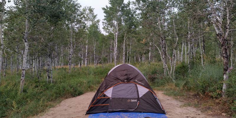 Camper submitted image from Little Deer Creek Campground — Wasatch Mountain State Park