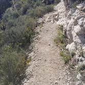 Review photo of Pine Springs Campground — Guadalupe Mountains National Park by Mike V., October 22, 2019