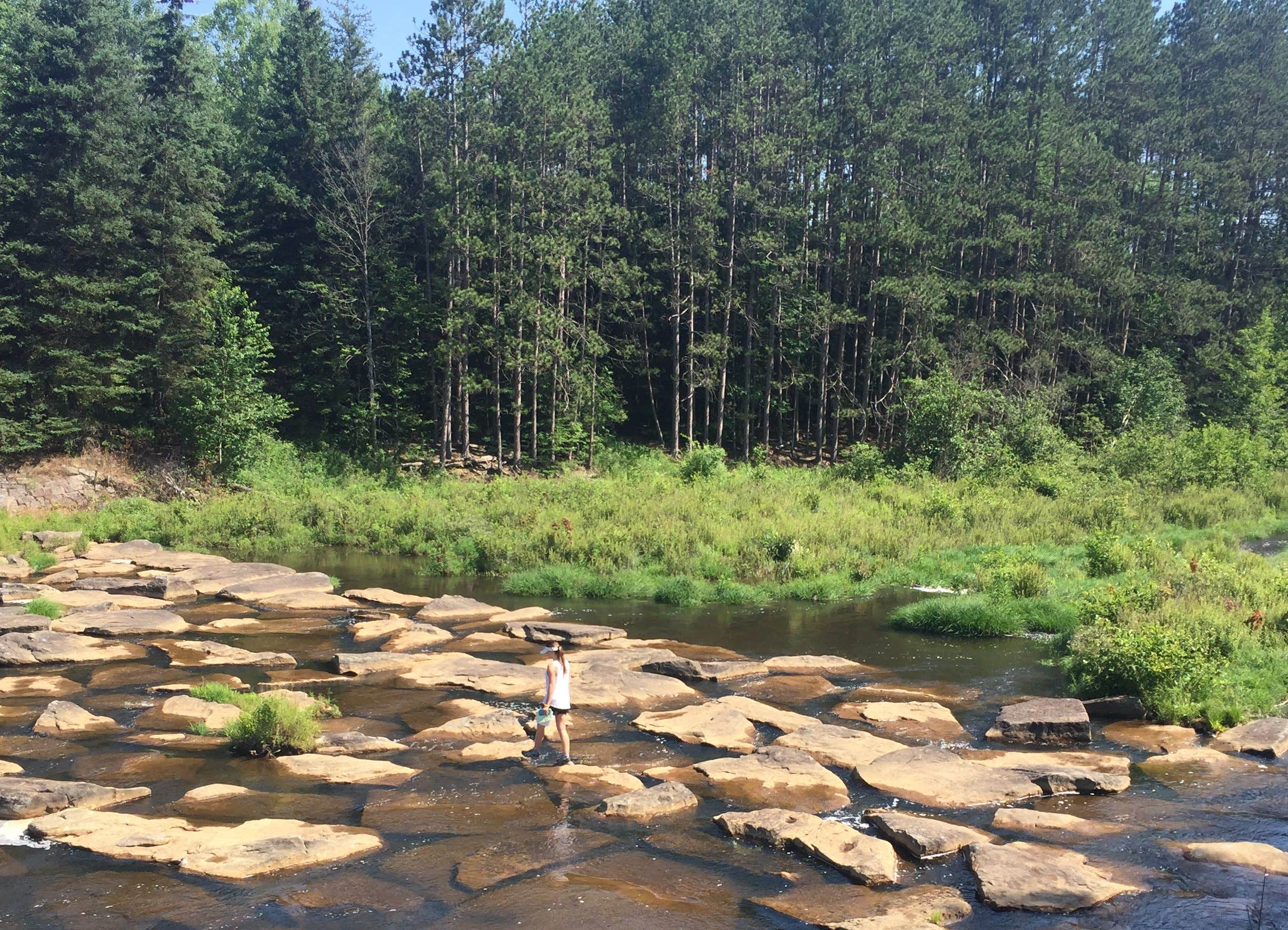 Camper submitted image from Parker Dam State Park Campground - 4