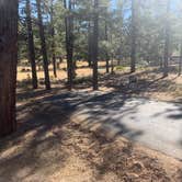 Review photo of Sunset Campground — Bryce Canyon National Park by Steve & Ashley  G., October 22, 2019