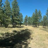 Review photo of Sunset Campground — Bryce Canyon National Park by Steve & Ashley  G., October 22, 2019