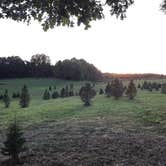 Review photo of Heritage Farms by Carolyn M., October 22, 2019