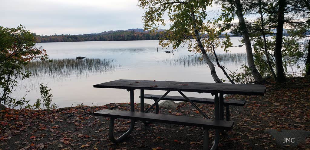 Camper submitted image from Umbagog Lake State Park Campground - 1