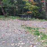 Review photo of Umbagog Lake State Park Campground by Jean C., October 23, 2019