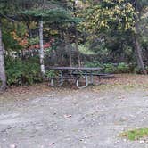 Review photo of Umbagog Lake State Park Campground by Jean C., October 23, 2019