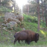 Review photo of Sylvan Lake Campground — Custer State Park by Katie S., August 16, 2017