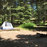 Review photo of Sylvan Lake Campground — Custer State Park by Katie S., August 16, 2017