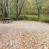 Review photo of Grafton Notch Campground by Jean C., October 23, 2019