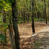 Review photo of Grafton Notch Campground by Jean C., October 23, 2019