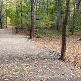 Review photo of Grafton Notch Campground by Jean C., October 23, 2019