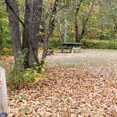 Review photo of Grafton Notch Campground by Jean C., October 23, 2019