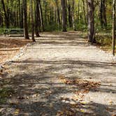 Review photo of Grafton Notch Campground by Jean C., October 23, 2019