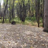 Review photo of Grafton Notch Campground by Jean C., October 23, 2019