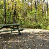 Review photo of Grafton Notch Campground by Jean C., October 23, 2019