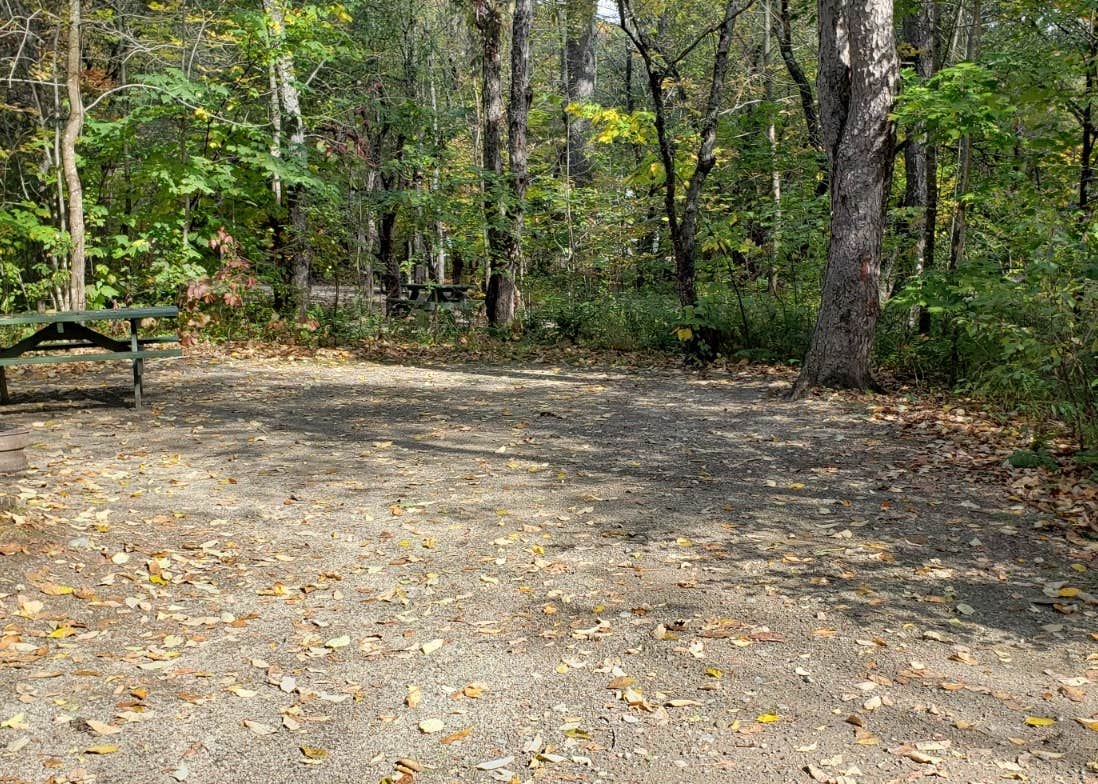 Grafton Notch Campground Camping The Dyrt