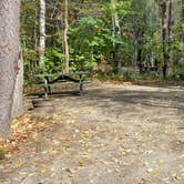 Review photo of Grafton Notch Campground by Jean C., October 23, 2019