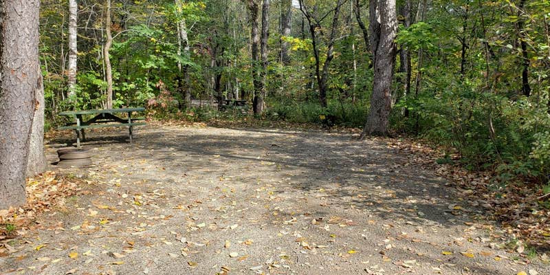 Camper submitted image from Grafton Notch Campground