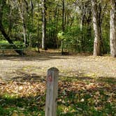 Review photo of Grafton Notch Campground by Jean C., October 23, 2019