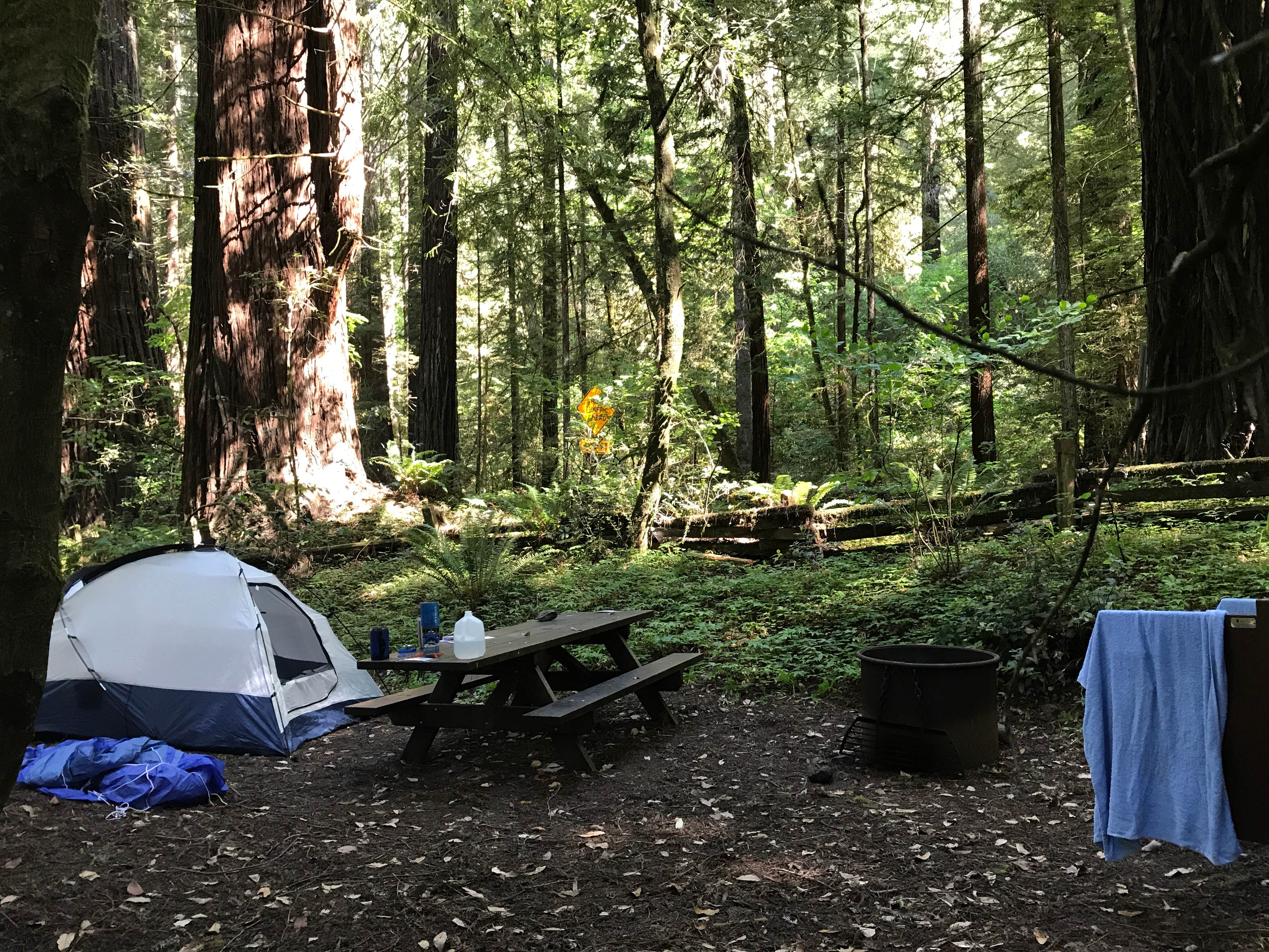 Camper-submitted photo at Grizzly Creek Redwoods State Park Campground near Weott, CA