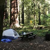 Review photo of Grizzly Creek Redwoods State Park Campground by Katie S., August 16, 2017