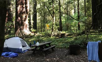 Katie S.'s photo at Grizzly Creek Redwoods State Park Campground near Fields Landing, CA