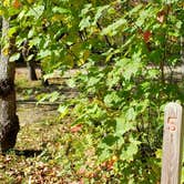 Review photo of Grafton Notch Campground by Jean C., October 23, 2019