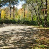 Review photo of Grafton Notch Campground by Jean C., October 23, 2019