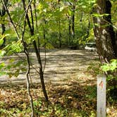 Review photo of Grafton Notch Campground by Jean C., October 23, 2019