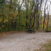 Review photo of Grafton Notch Campground by Jean C., October 23, 2019