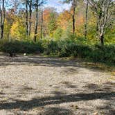 Review photo of Grafton Notch Campground by Jean C., October 23, 2019