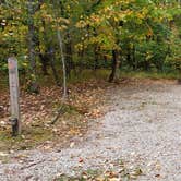 Review photo of Grafton Notch Campground by Jean C., October 23, 2019