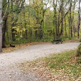 Review photo of Grafton Notch Campground by Jean C., October 23, 2019