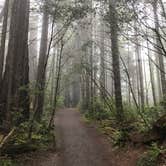 Review photo of Grizzly Creek Redwoods State Park Campground by Katie S., August 16, 2017