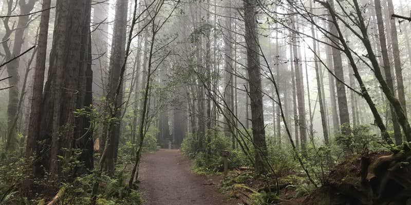 Camper submitted image from Grizzly Creek Redwoods State Park Campground