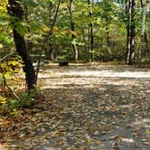 Review photo of Grafton Notch Campground by Jean C., October 23, 2019