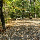 Review photo of Grafton Notch Campground by Jean C., October 23, 2019