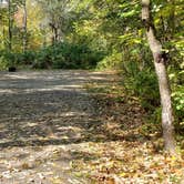 Review photo of Grafton Notch Campground by Jean C., October 23, 2019