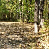 Review photo of Grafton Notch Campground by Jean C., October 23, 2019