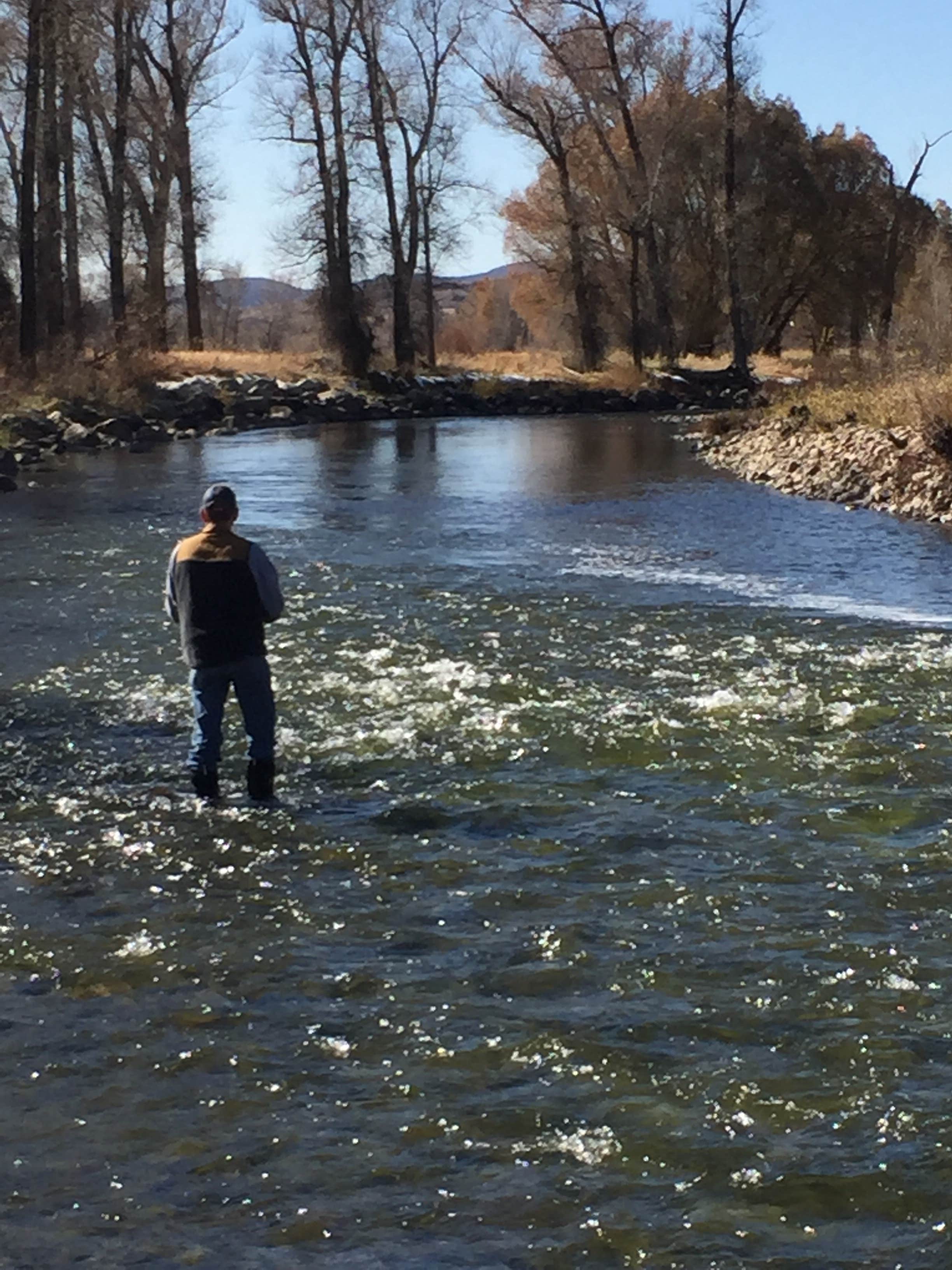 Camper submitted image from Steamboat Springs KOA - 5