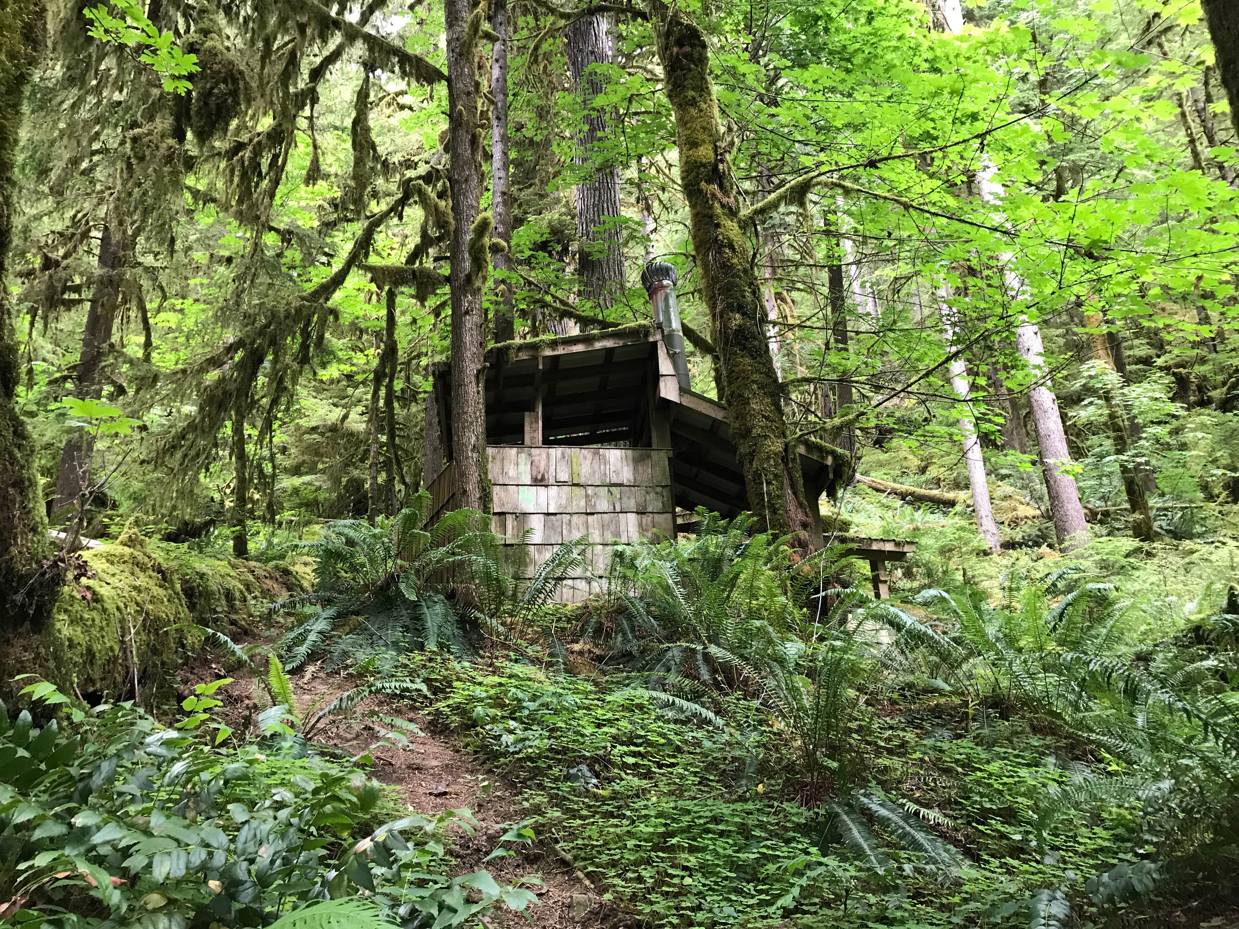 Camper submitted image from Cougar Crossing Campground — Willamette National Forest - 2