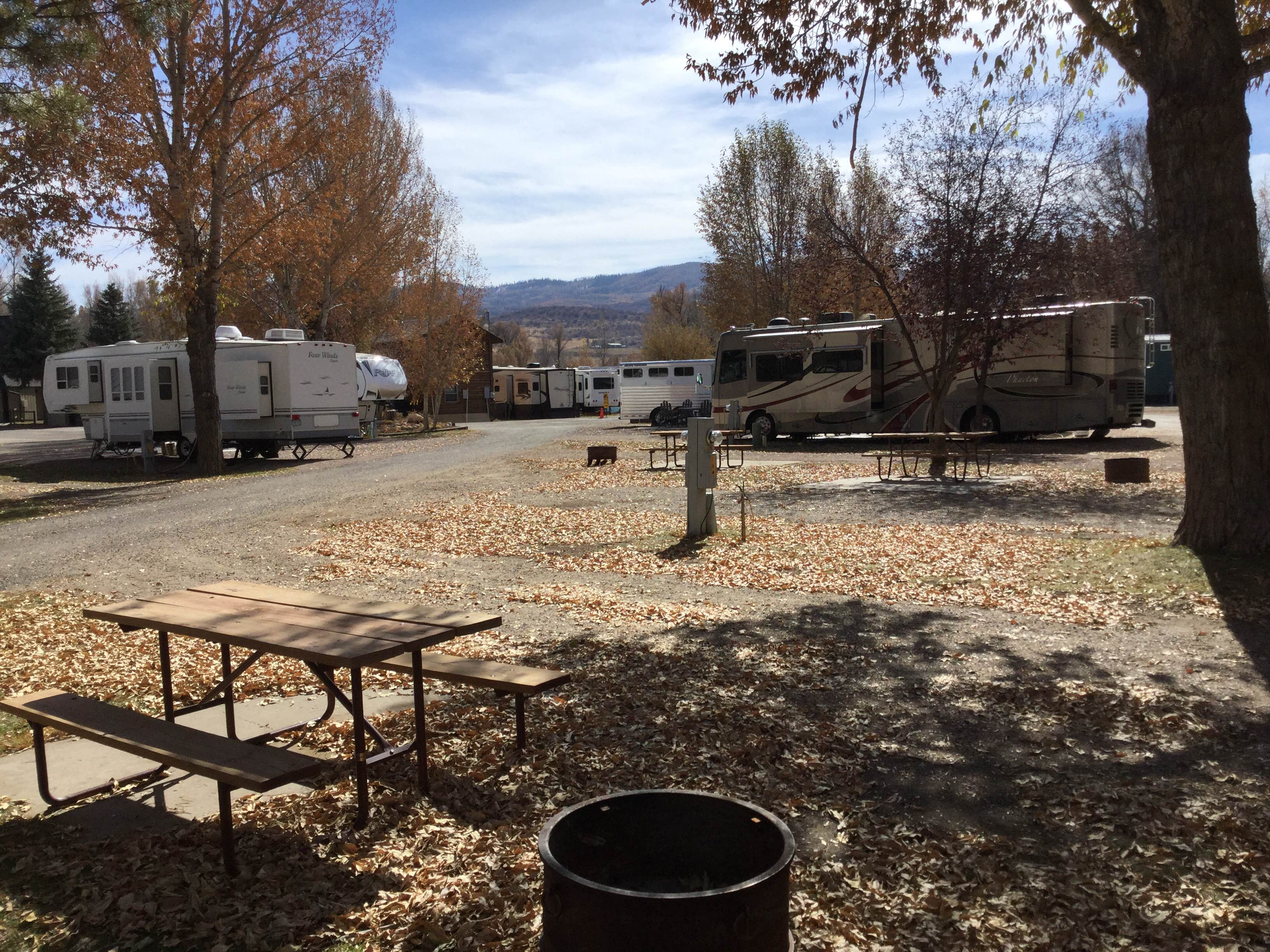 Camper submitted image from Steamboat Springs KOA - 1