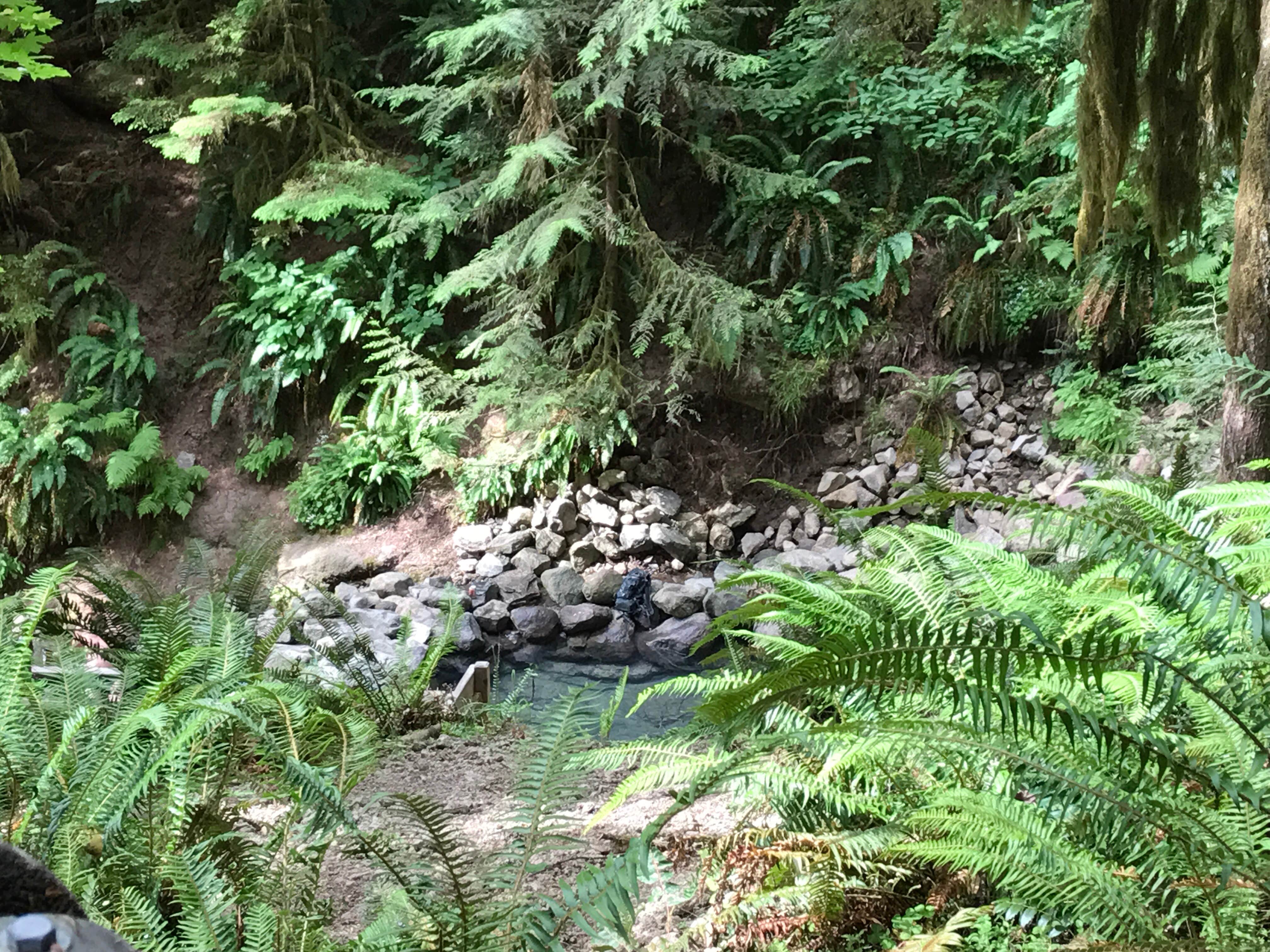 Camper submitted image from Cougar Crossing Campground — Willamette National Forest - 3