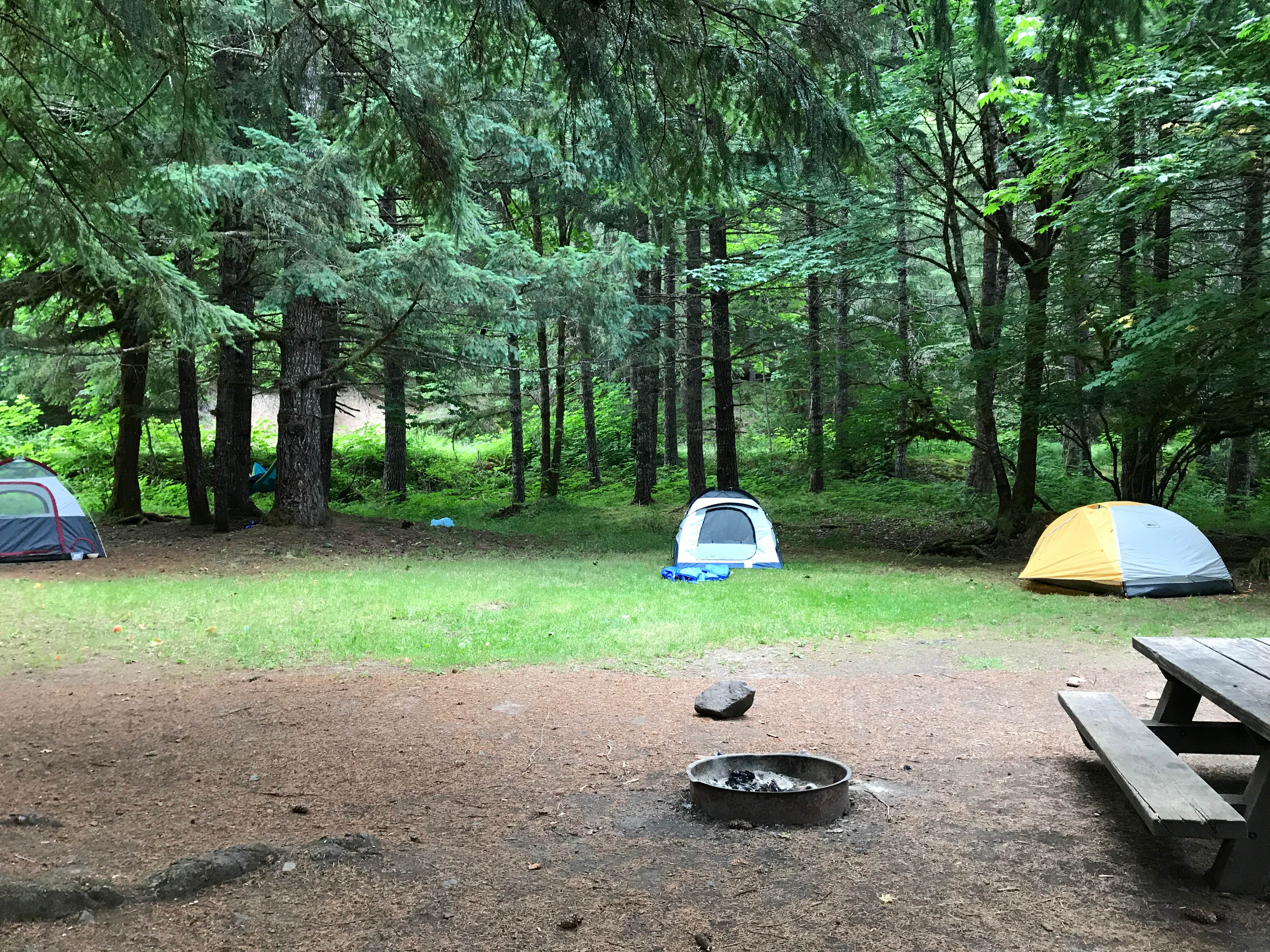 Camper submitted image from Cougar Crossing Campground — Willamette National Forest - 5