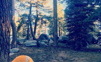 Chris D.'s photo at Boulder Basin near Whitewater, CA