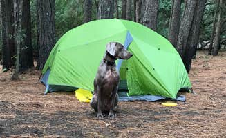 Marysa B.'s photo at First Landing State Park Campground near Greenwood, VA