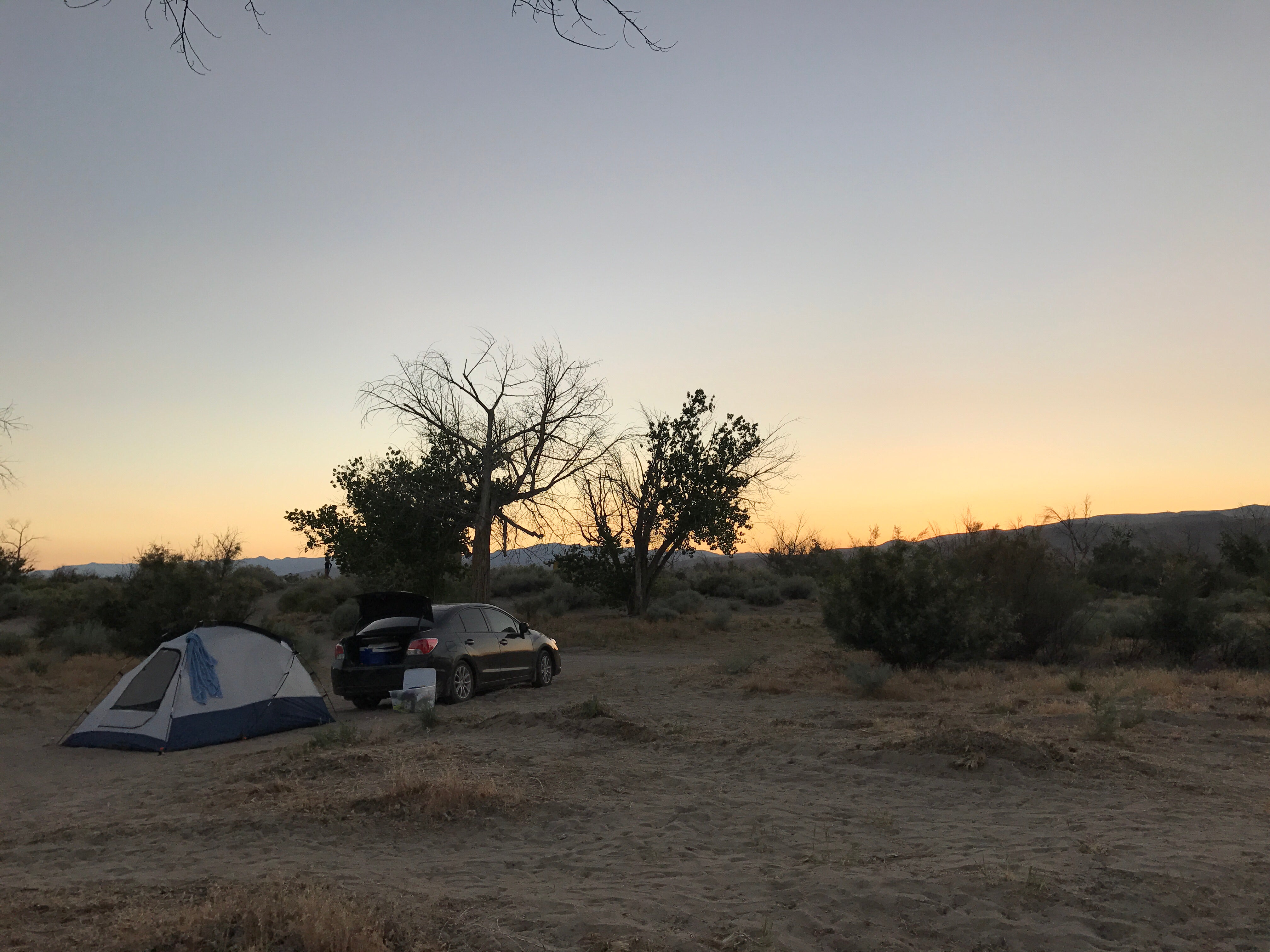 Camper submitted image from Developed 7 — Lahontan State Recreation Area - 3