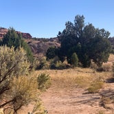 Review photo of Bryce View Campground — Kodachrome Basin State Park by Steve & Ashley  G., October 23, 2019
