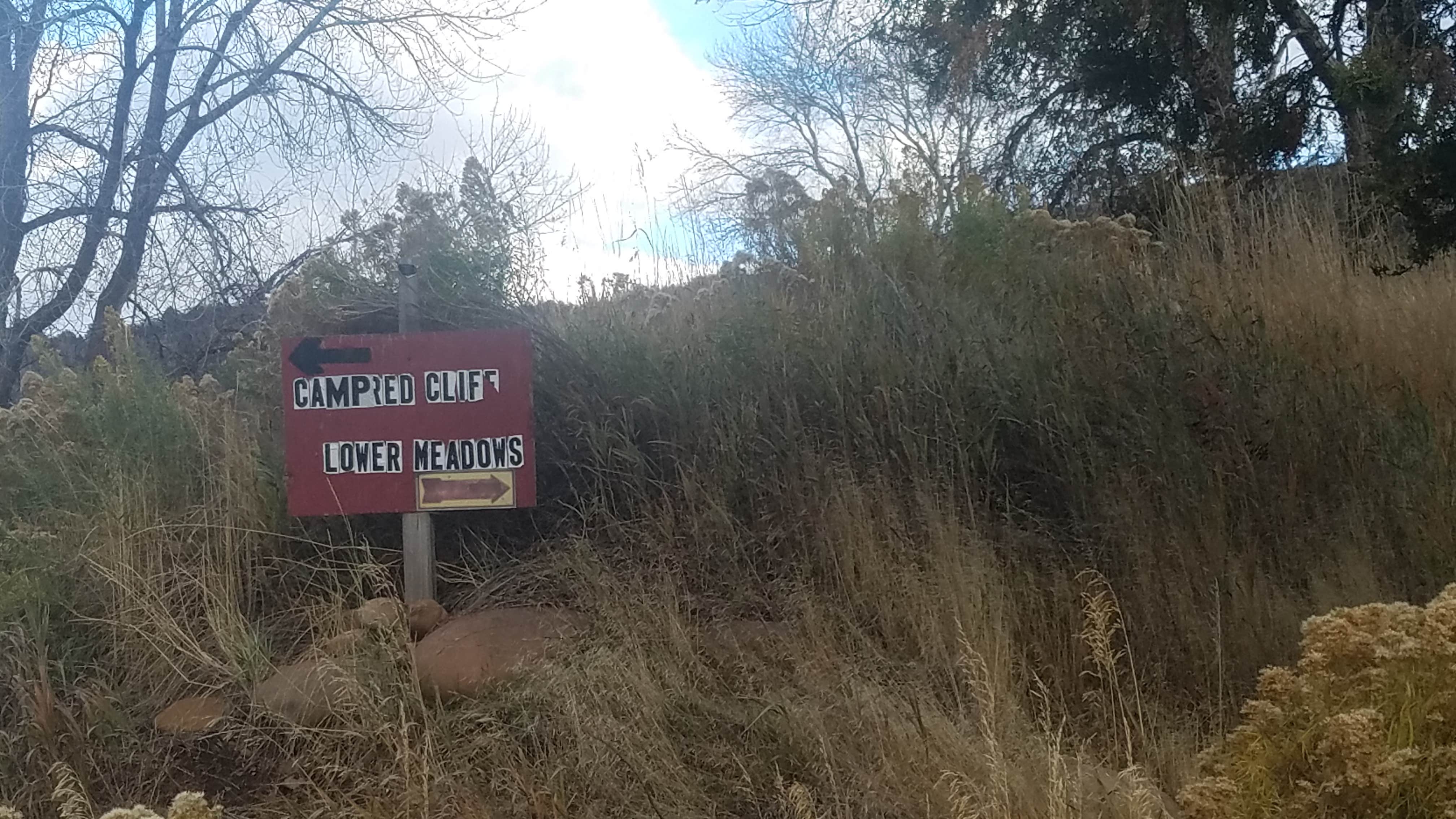 Camper submitted image from Lower Meadows Campground — Uinta Wasatch Cache National Forest - 2