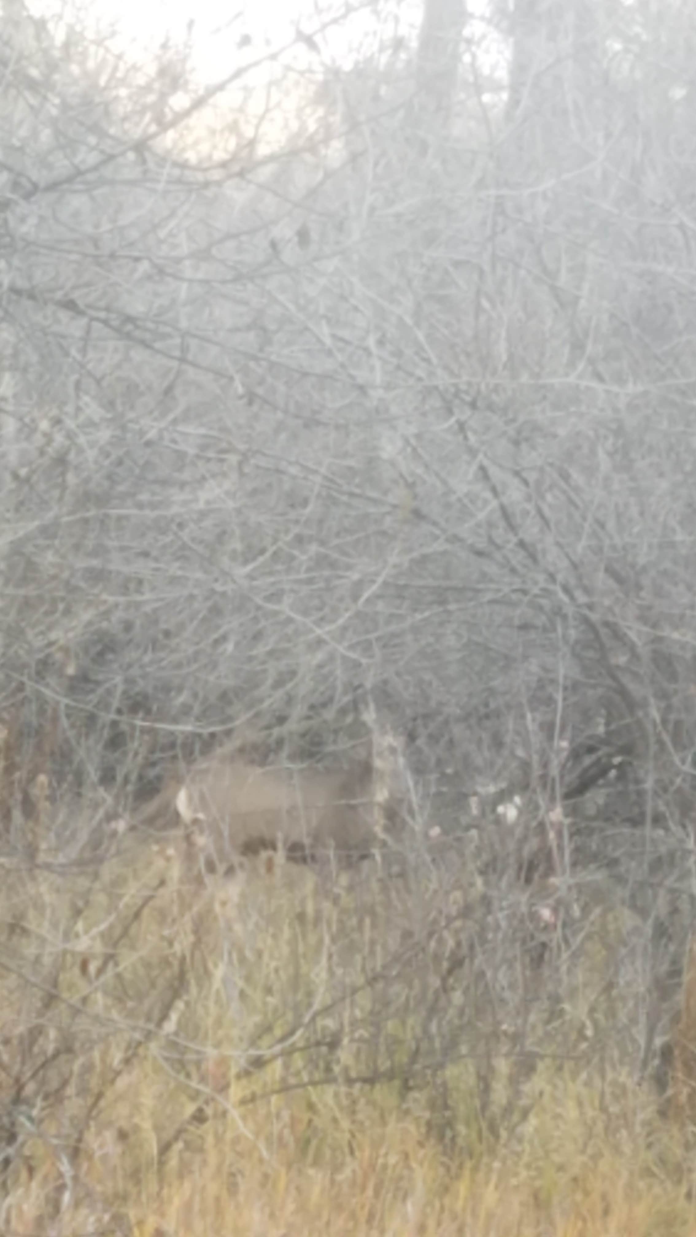 Camper-submitted photo at Perception Park near Huntsville, UT